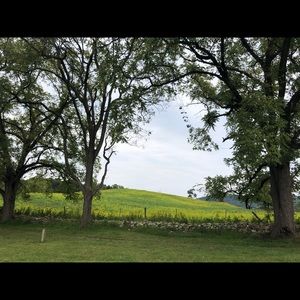 Meet your Posher, Joella